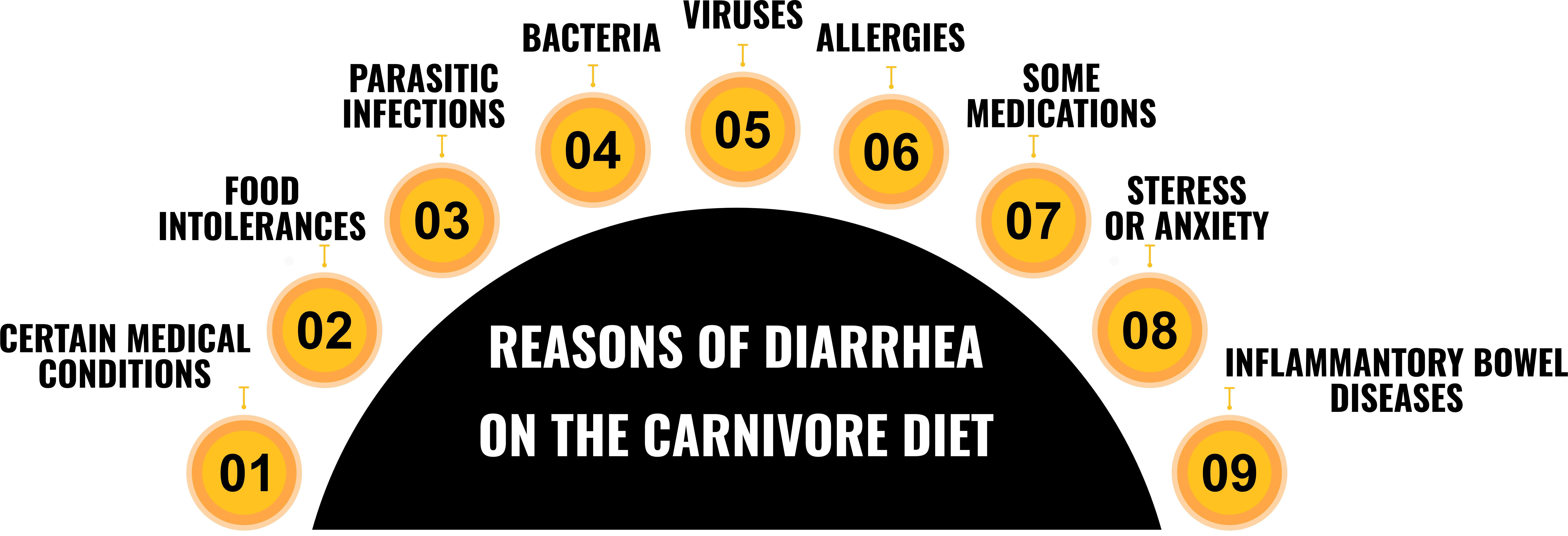 Carnivore Diet Diarrhea Is It Normal or Not? [Fixed]